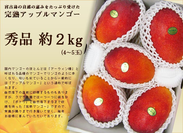 【限定3名】宮古島産完熟アップルマンゴー 秀品約2kgプレゼント！