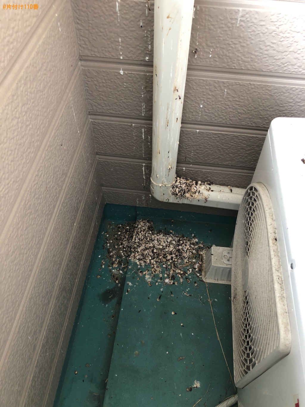 【北九州市八幡西区】ツバメの巣の撤去と清掃ご依頼　お客様の声
