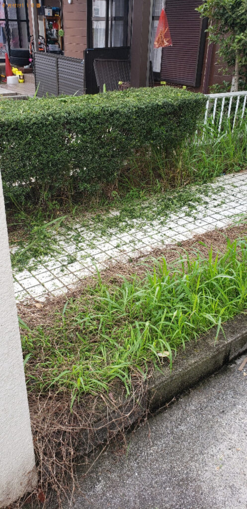 【北九州市小倉南区】木の剪定と草刈り作業ご依頼　お客様の声
