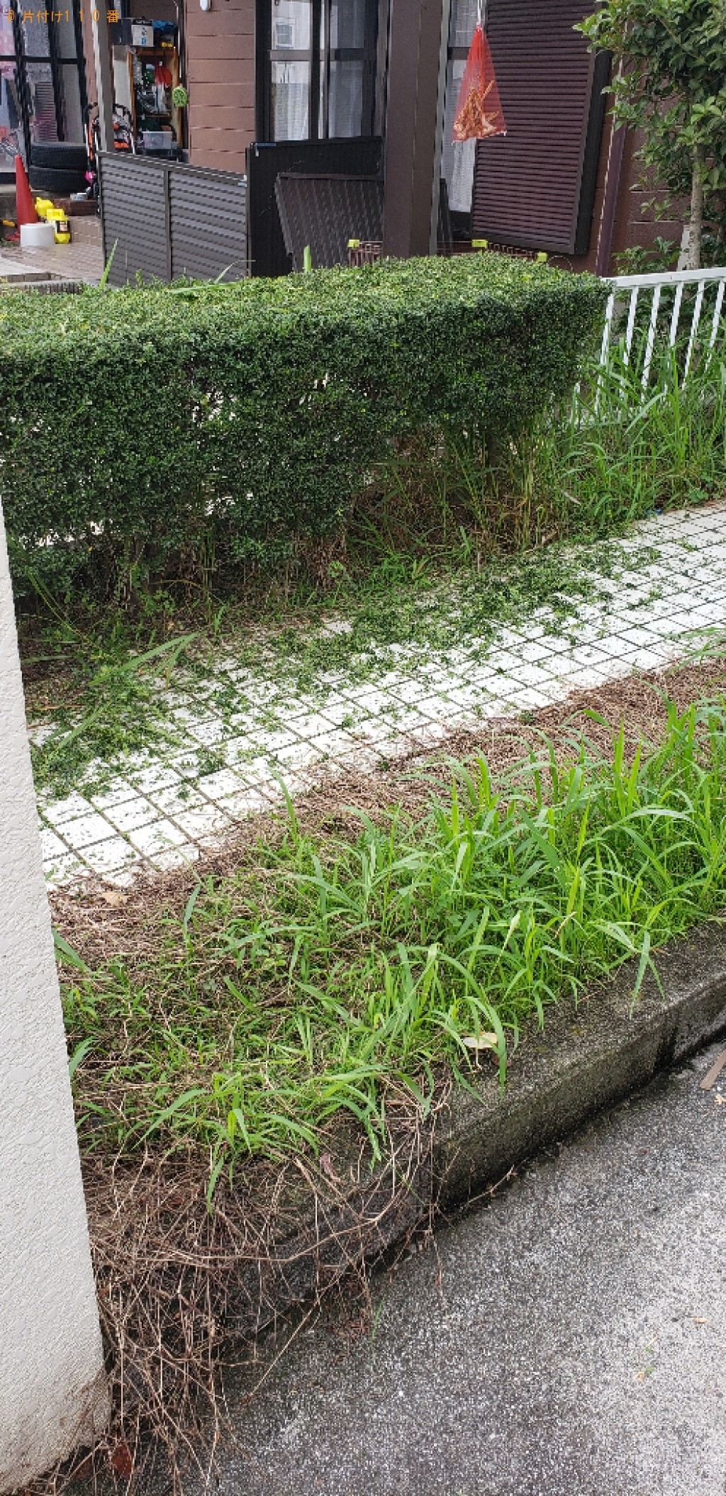 【北九州市小倉南区】木の剪定と草刈り作業ご依頼　お客様の声