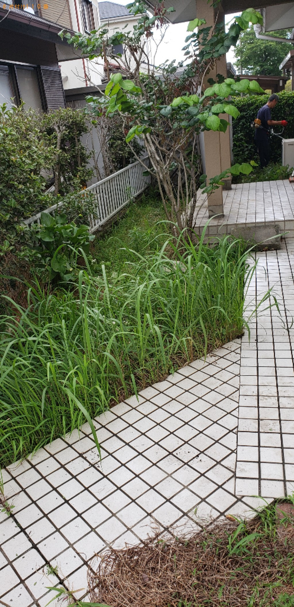 【北九州市小倉南区】木の剪定と草刈り作業ご依頼　お客様の声